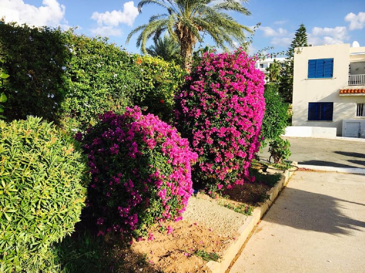 Townhouse Coral Bay Village Kissonerga Exterior photo